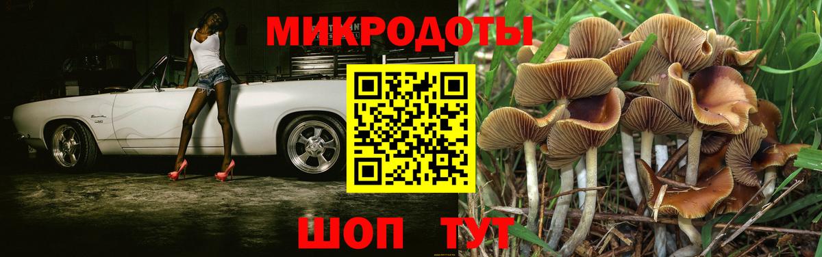 Псилоцибиновые грибы Psilocybe  Галлюциногенные грибы Magic Shrooms  Пенза  Вход с VPN 